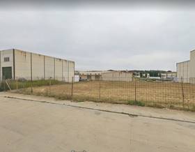 lands for sale in pobla de guzman