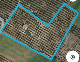 lands for sale in huelva province