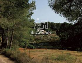 lands for sale in ibiza islas baleares