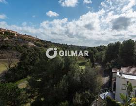houses for sale in elviria
