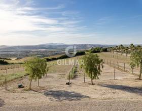 chalet sale cadiz arcos de la frontera by 595,000 eur