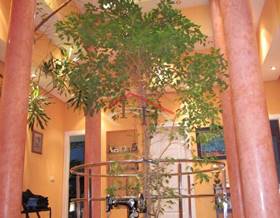 houses for sale in leon province