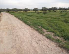 land sale badajoz puebla de sancho perez by 20,000 eur