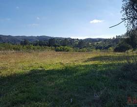 lands for sale in asturias province