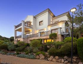 houses for sale in malaga province
