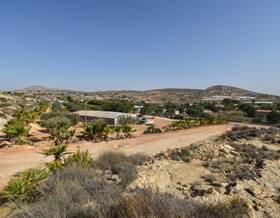 houses for sale in arenales del sol