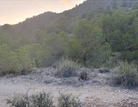 lands for sale in aspe