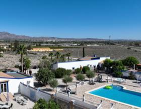 land sale crevillent el realengo by 549,000 eur