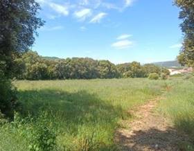 lands for sale in estella