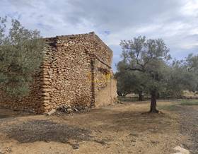 land sale vinallop centro by 28,000 eur