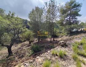 lands for sale in masdenverge