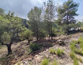 lands for sale in xerta
