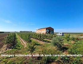 lands for sale in corbins