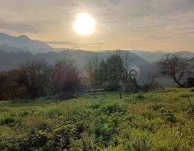 lands for sale in llanera
