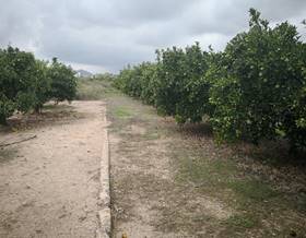 land sale rafelcofer rafelcofer by 35,000 eur