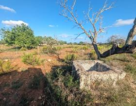 lands for sale in mallorca islas baleares