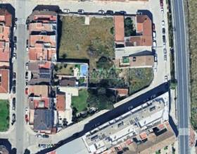 lands for sale in daimus