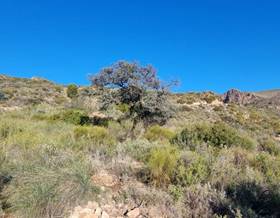 lands for sale in los gallardos