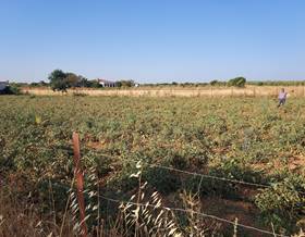 lands for sale in puebla de sancho perez