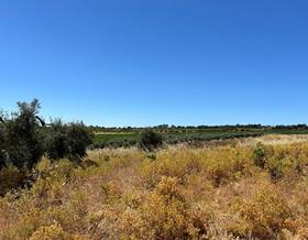 rustic property sale bollullos par del condado periferia by 13,000 eur