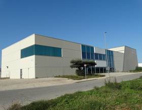 industrial warehouse sale amposta industrial-oriola by 1,650,000 eur
