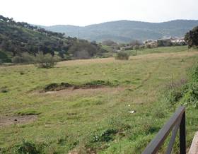 lands for sale in belmez