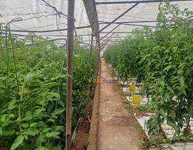 country houses for sale in aguadulce, almeria