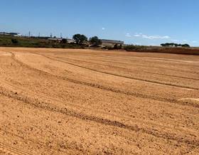 lands for sale in villalba del alcor