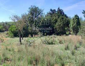 lands for sale in ibiza islas baleares