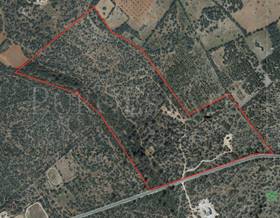 lands for sale in balearic islands