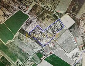 lands for sale in monforte del cid