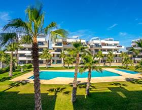 apartments for sale in punta prima