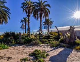 land sale derramador partida daimes by 100,000 eur