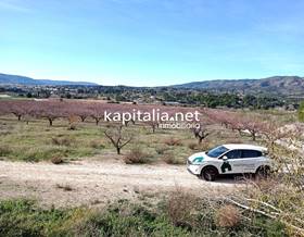 lands for sale in ontinyent