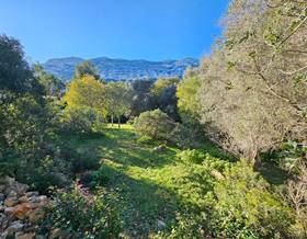 lands for sale in benidoleig