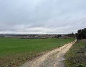 lands for sale in bonares