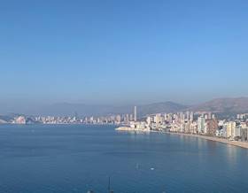 studio sale alicante benidorm by 157,000 eur