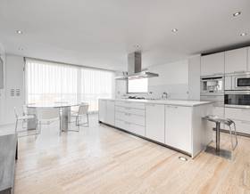 penthouses for rent in pilar de la horadada