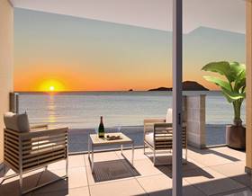 houses for sale in murcia province
