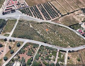 lands for rent in alicante province