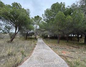 lands for sale in torrelaguna