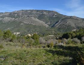 lands for sale in alcoleja