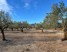 land sale el perello el perelló by 40,000 eur