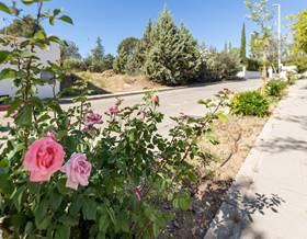 lands for sale in huetor de santillan