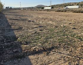 lands for sale in crevillent