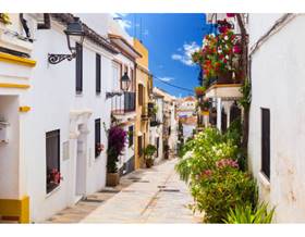 houses for sale in san pedro de alcantara