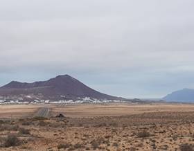 lands for sale in teguise