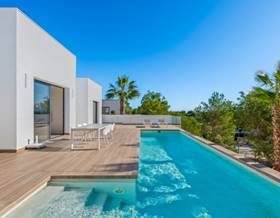houses for sale in san miguel de salinas