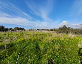 land sale sant josep de sa talaia by 1,930,000 eur