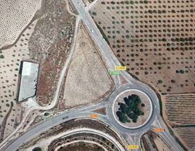lands for sale in pinoso